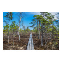 Piste en bois au-dessus du marais