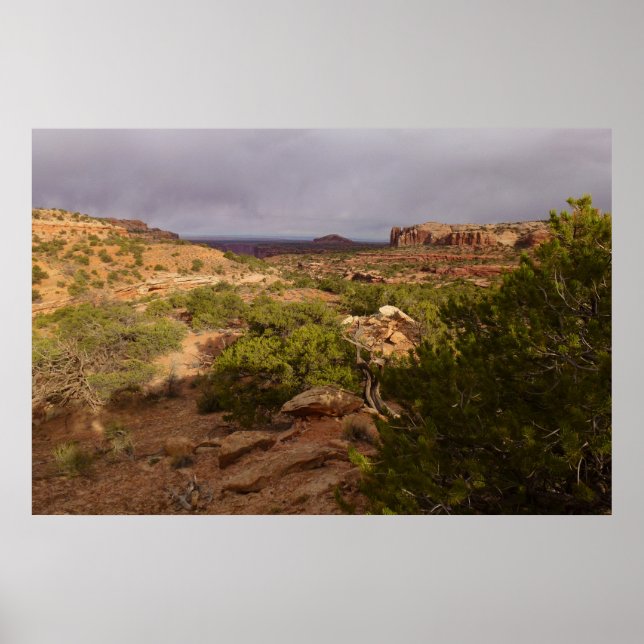 Poster Piste Neck Springs au parc national des Canyonland (Devant)