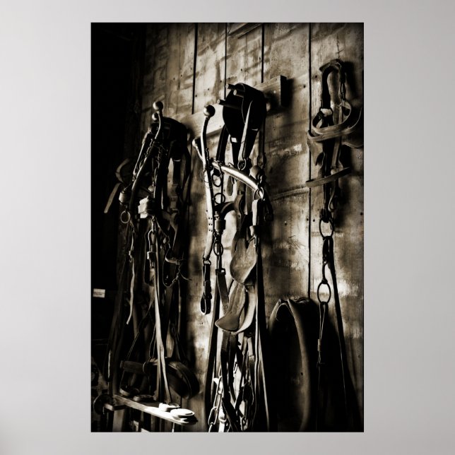 Poster Piste occidentale (Devant)