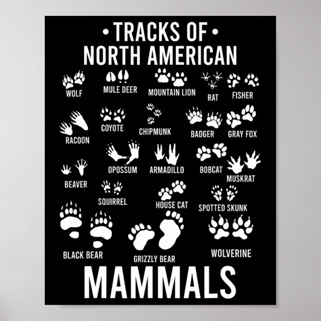 Poster Pistes d'animaux sauvages de mammifères nord-améri (Devant)