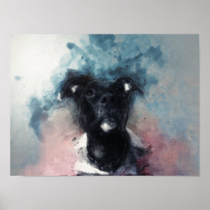 Poster Pit Bull