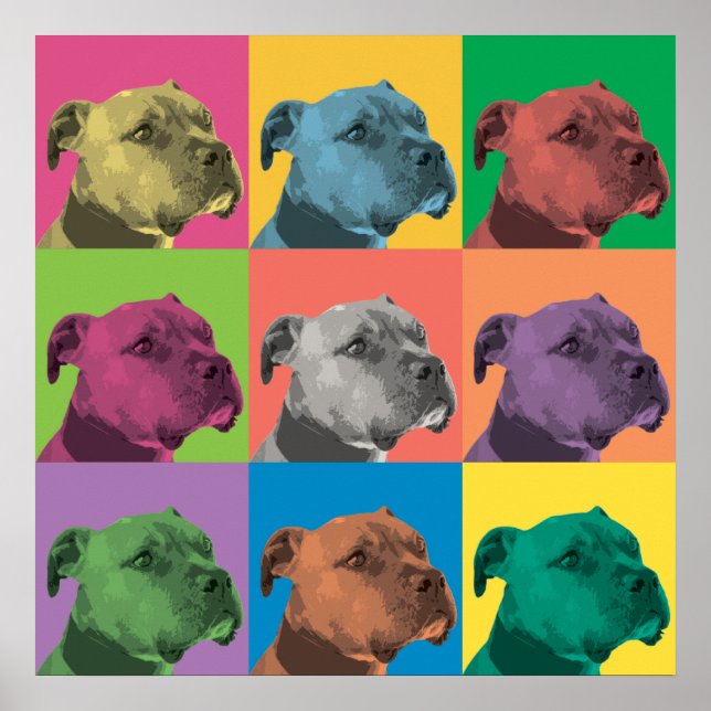 Poster Pit Bull Pop-Art (Devant)