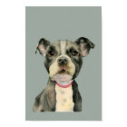 Pit Bull Terrier Chien Chien Chien Chien Aquarelle