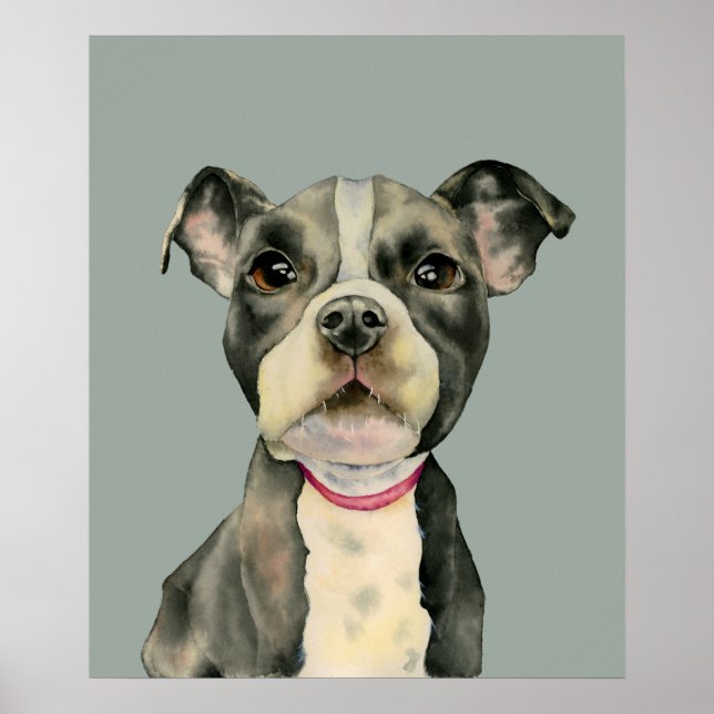 Poster Pit Bull Terrier Chien Chien Chien Chien Aquarelle (Devant)