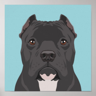 Poster Pitbull