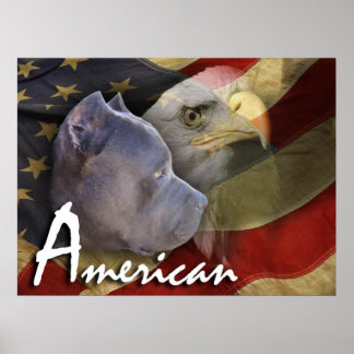 Poster Pitbull américain Terrier Chien, Drapeau, Aigle ch