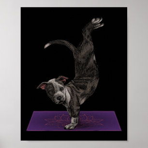 Poster Pitbull faisant du yoga méditation zen namaste yog