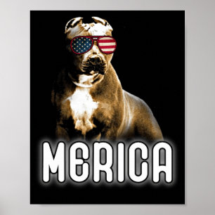 Poster Pitbull Merica Patriotic Chien Pit Bull Patriot