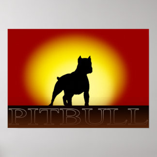 Poster Pitbull Sunset