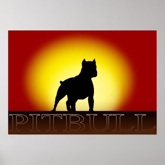 Poster Pitbull Sunset (Devant)