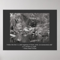 Pittoresque canyon Sabino hiver