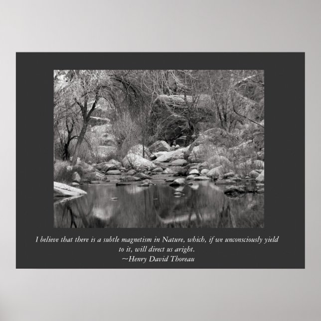 Poster Pittoresque canyon Sabino hiver (Devant)