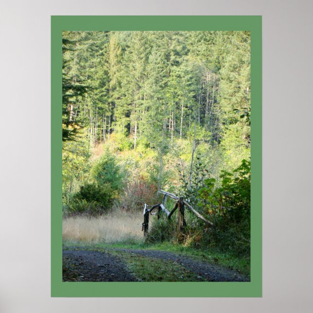 Poster Pittoresque Oregon Forêts Arbres Pays Photographie (Devant)