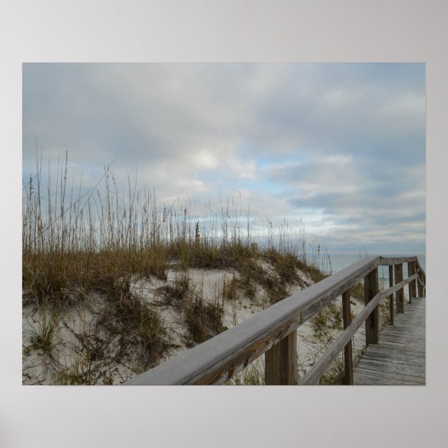 Poster Pittoresque promenade Florida Beach Nature Photogr (Devant)