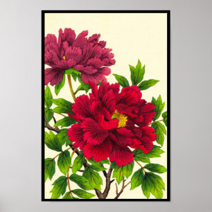 Poster Pivoine Hodo Nishimura fleurs japonaises beaux-art