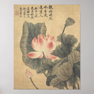Poster Pivoines