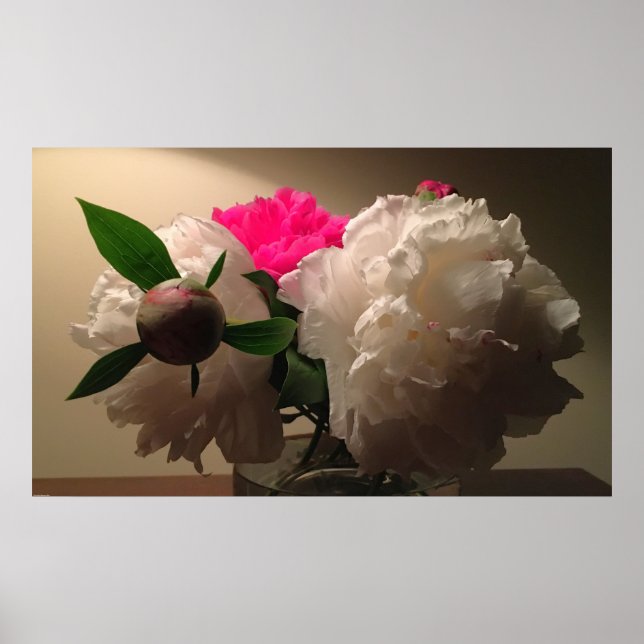 Poster Pivoines, (Devant)