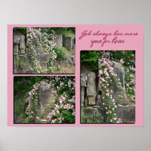 Poster Pk vieux fashroses sur bluff-ZP