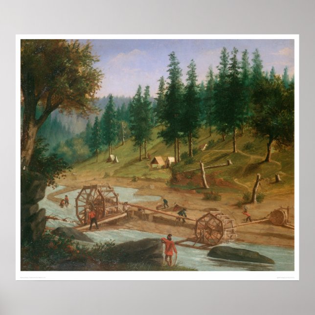 Poster Placer Mining at Foster's Bar, Californie (1331A) (Devant)