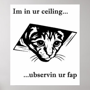 Poster Plafond Cat ubservin u...