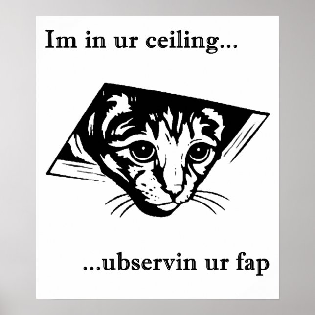 Poster Plafond Cat ubservin u... (Devant)