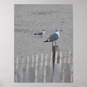 Poster Plage ~ 25,5