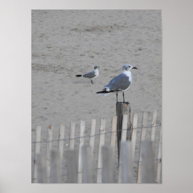 Poster Plage ~ 25,5 (Devant)
