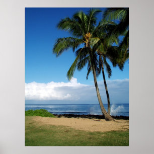 Poster Plage Ali'i 19