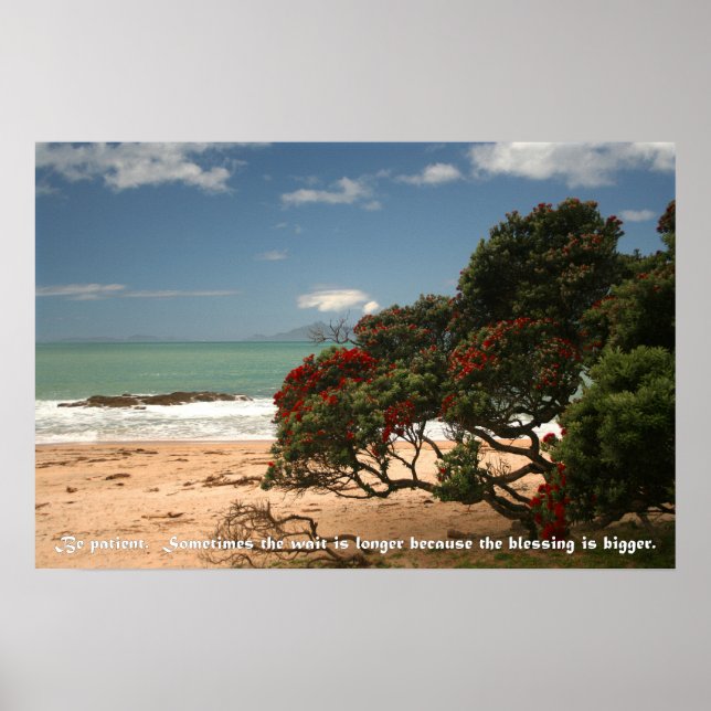 Poster Plage Bliss - Pohutukawa Tree - Soyez Patient (Devant)