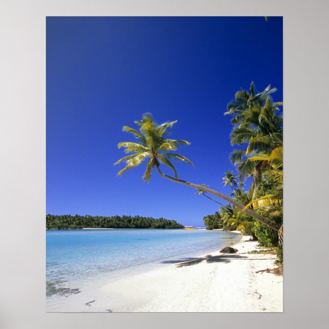 Poster Plage bordée de palmiers Îles Cook (Devant)