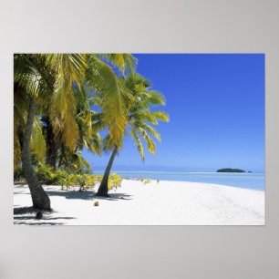 Poster Plage bordée de palmiers Îles Cook 3