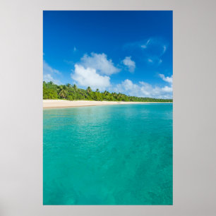 Poster Plage bordée de palmiers, Tonga