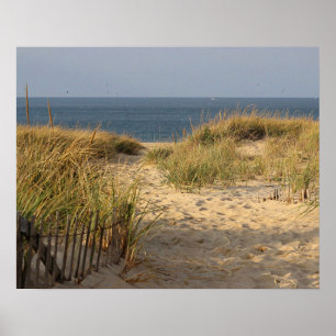 Poster Plage dans les dunes de sable