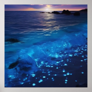 Poster Plage de bioluminescence des eaux