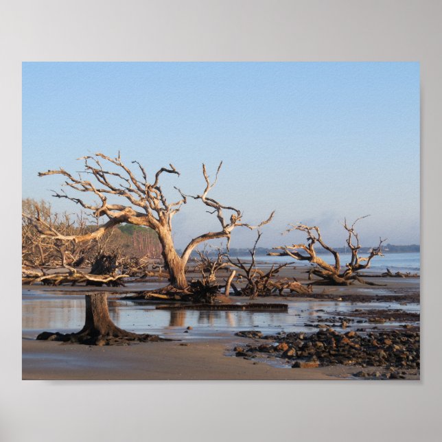 Poster Plage de Driftwood (Devant)