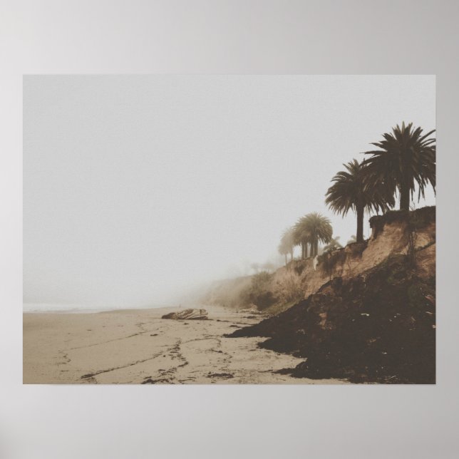 Poster Plage de Foggy tonique Chaleureuse avec Palmiers (Devant)