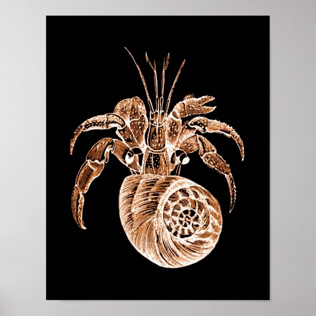 Poster Plage de l'eau marine côtière de poisson noir (Devant)