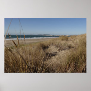 Poster Plage de Limantour à Point Reyes II
