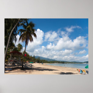 Poster Plage de Luquillo Porto Rico