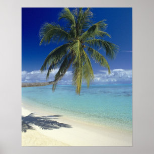 Poster Plage de Matira sur l'île de Bora Bora, Société
