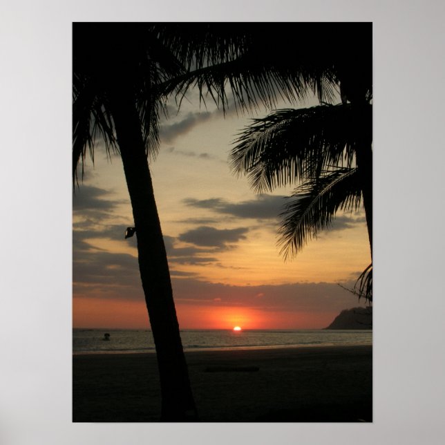 Poster plage de palmiers (Devant)