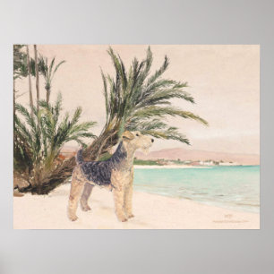 Poster Plage de Palmy