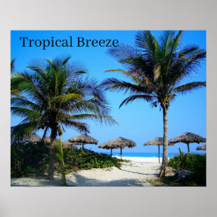 Poster Plage de sable avec des palmiers et une vue sur l'