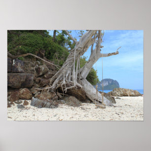 Poster Plage de sable tropicale