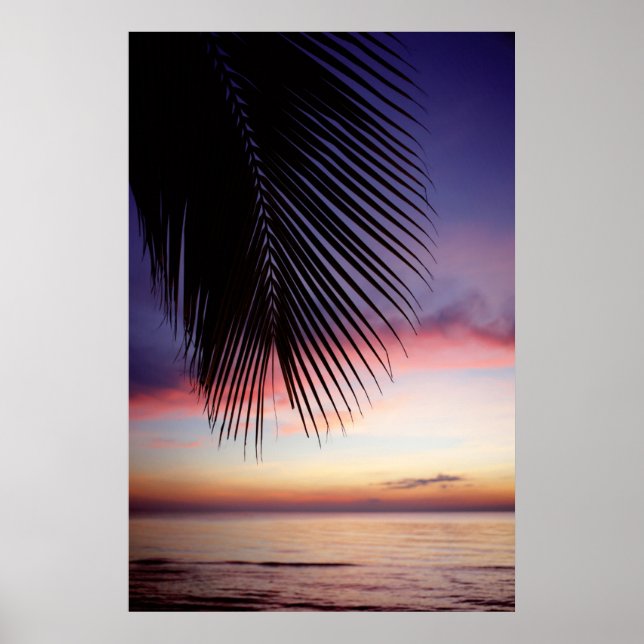 Poster Plage de Sunset violet Tropical Palm Tree Silhouet (Devant)