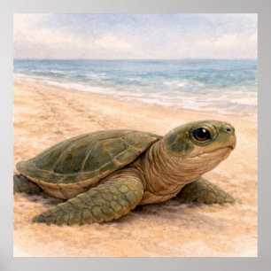 Poster Plage de tortues marines 