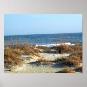 Poster Plage de Tybee