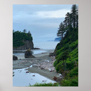 Poster Plage de Washington Rocky Ruby