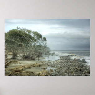 Poster Plage d'île de Jekyll