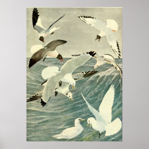 Poster Plage d'Oiseaux océaniques vintages